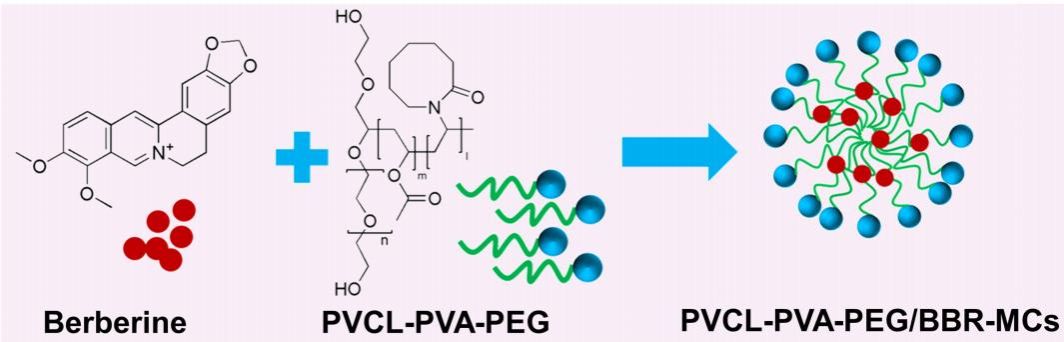 我校药学院查孝柱老师在《International Journal of Nanomedicine》发表科研论文